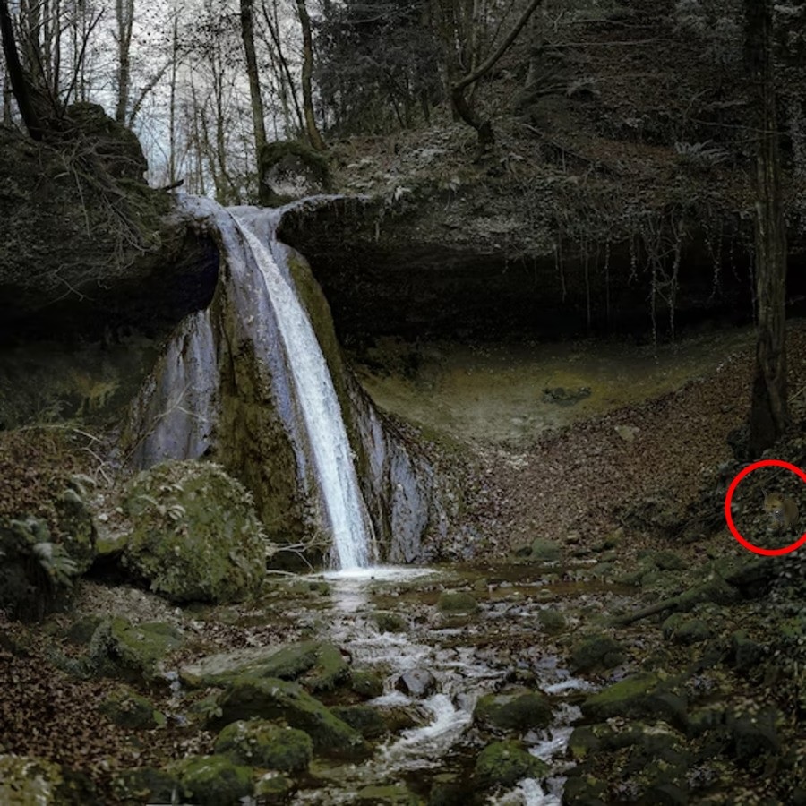 Złudzenie optyczne